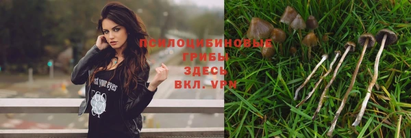 кристаллы Абаза