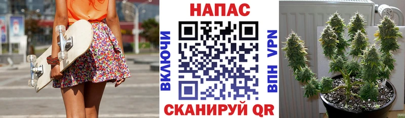 Канабис тримм  где найти наркотики  Электроугли 